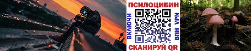 Псилоцибиновые грибы Psilocybe  где продают наркотики  Георгиевск 